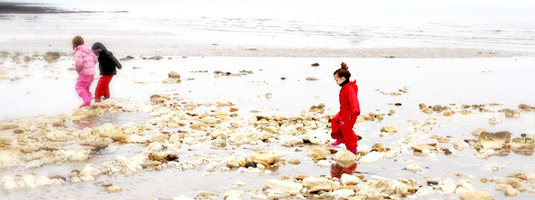 Rockpooling Rockpooling