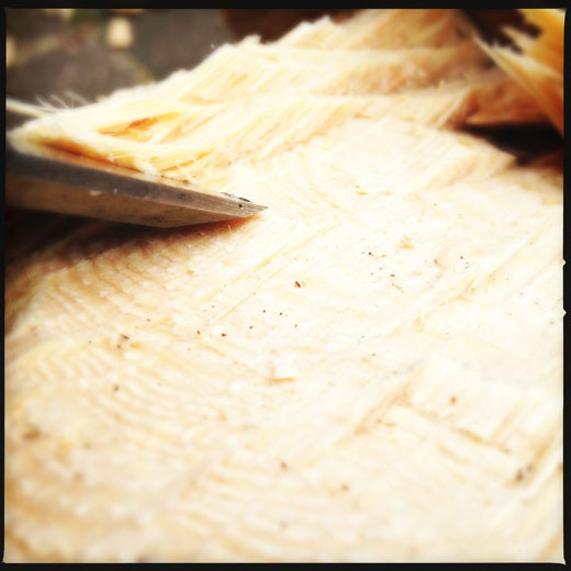 How to use a chisel - use the beveled edge down How to use a chisel - use the beveled edge down