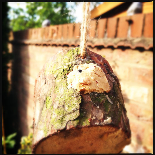 Hang your bird feeder Hang your bird feeder