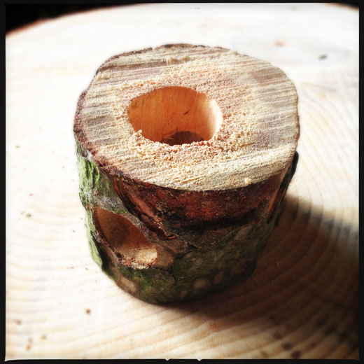 The drilled log The drilled log