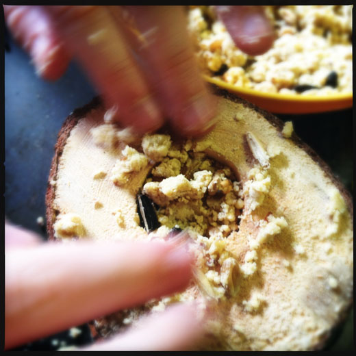 Stuff the bird feed mix into the holes Stuff the bird feed mix into the holes