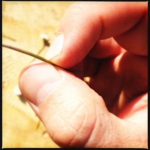 Make a small slit with your thumbnail Make a small slit with your thumbnail