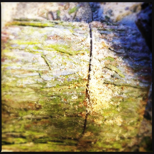 Saw a groove about a third of the way down and about a third in depth Saw a groove about a third of the way down and about a third in depth