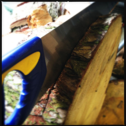 Saw the table top Saw the table top