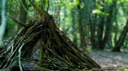 Woodland stick den