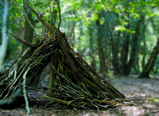 Woodland stick den Woodland stick den