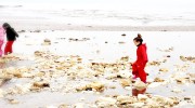 Rockpooling