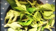 Nettles