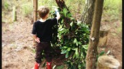 How to make a simple den