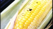 Camp fire sweetcorn