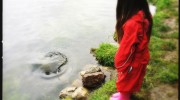 Feeding fish