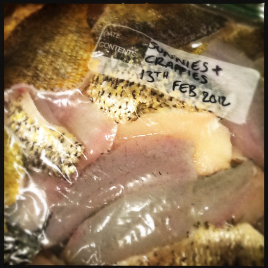 Fillets of perch sunfish and crappies Fillets of perch sunfish and crappies