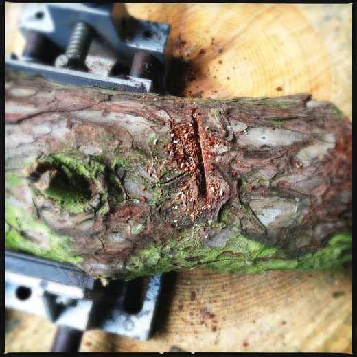 Find a suitable log