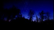 How to see in the dark