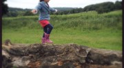 Walking the plank