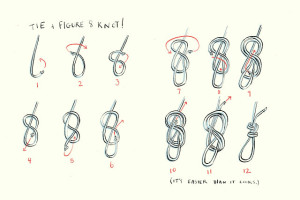 How to tie a figure 8 knot